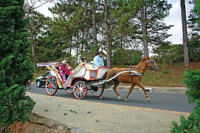Xe ngựa – “sắc màu” của địa điểm du lịch Đà Lạt xưa