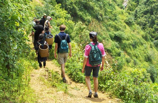 Du lịch trekking một loại hình du lịch Sa Pa mới lạ