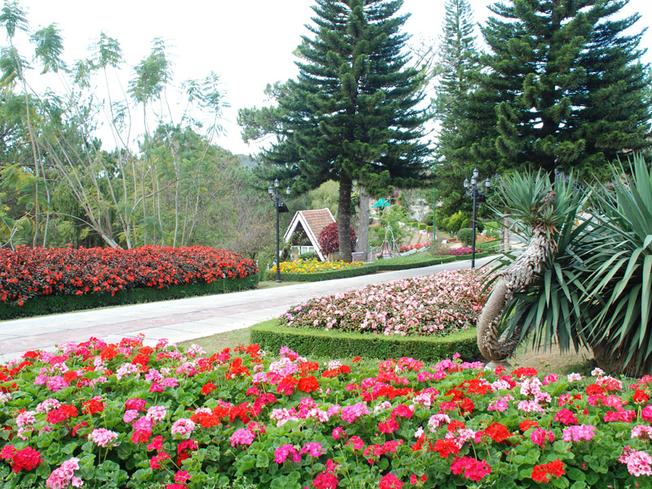 Vườn hoa Minh Tâm