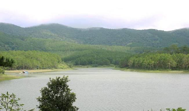 Hồ Tuyền Lâm được bao bọc bởi những cánh rừng thông nguyên sinh