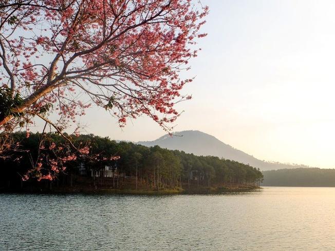Vẻ đẹp của hồ Tuyền Lâm