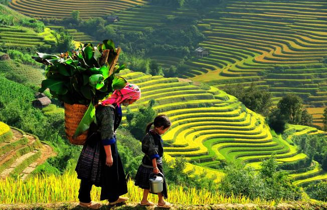 Sa Pa là điểm đến du lịch hấp dẫn của Việt Nam