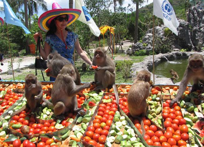 Những chú khỉ tinh nghịch đang thưởng thức hoa quả