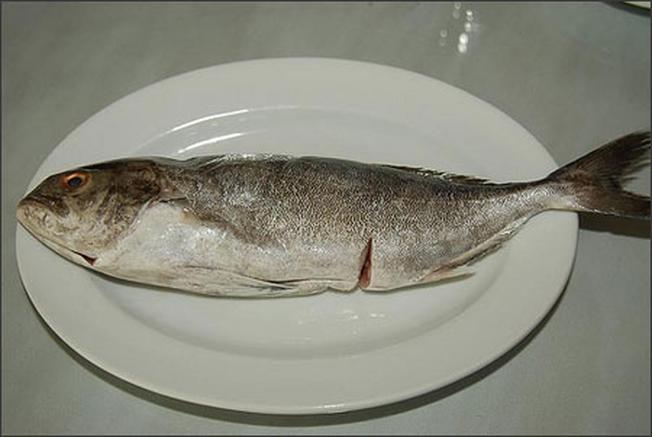 Cá cu một trong những món đặc sản Hội An độc đáo
