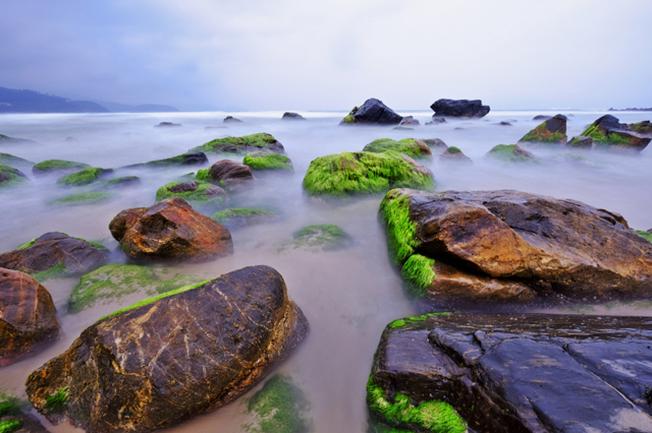 Rạn Nam Ô Đà Nẵng 01