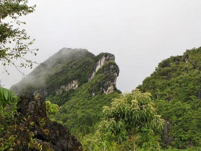 Nếu bạn yêu thích những mảng xanh của thiên nhiên và muốn tìm hiểu về địa danh truyền thống của miền đất Gia Lai thì hãy đến ngay Núi Hàm Rồng. Đây là nơi bạn có thể ngắm nhìn toàn cảnh thành phố Pleiku rực rỡ ánh đèn vào ban đêm, hoặc thử sức với những cung đường leo núi đầy thử thách.