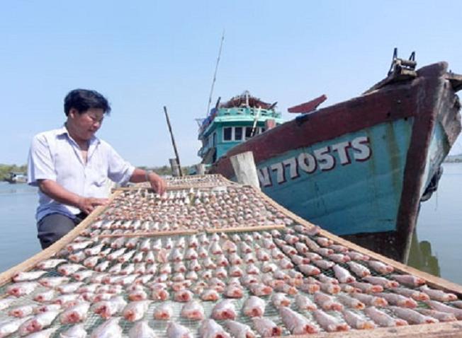 Phơi cá khô là hình ảnh quen thuộc tại Làng chài