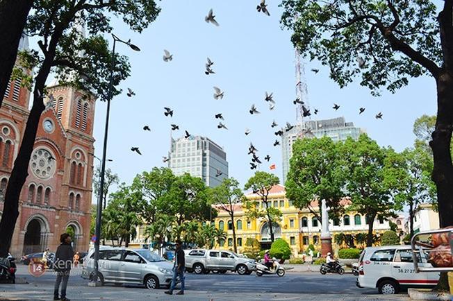 Đô thị tấp nập Sài Gòn