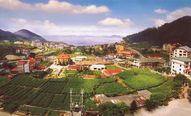 Tam Đảo mờ ảo