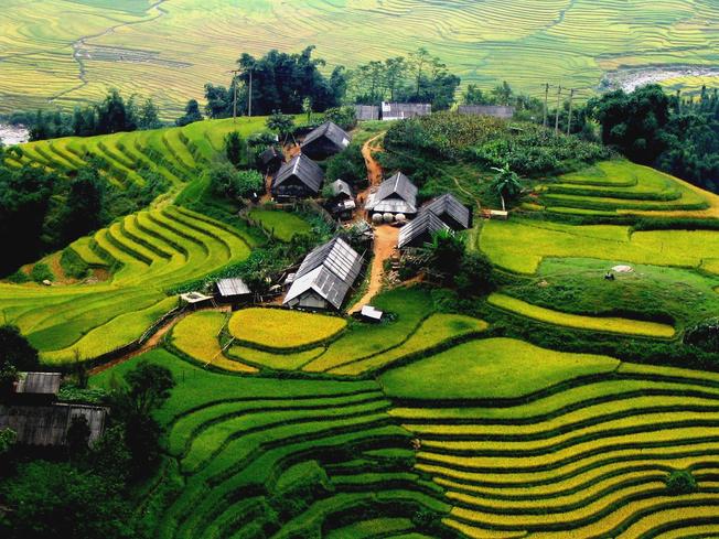 Sa Pa trong sương, trong mây